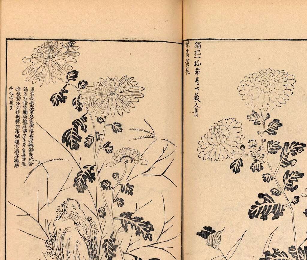 p1706550390_984type_jpeg_size_1600_118_end