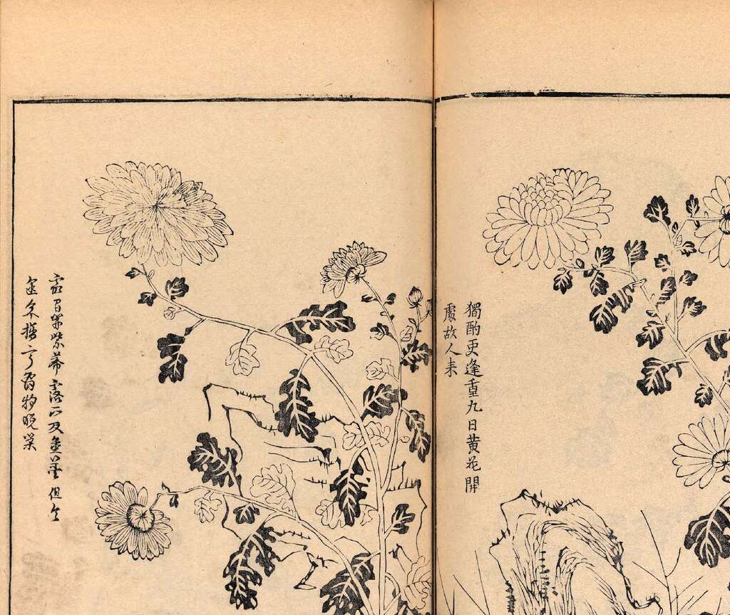 p1706550398_567type_jpeg_size_1600_119_end