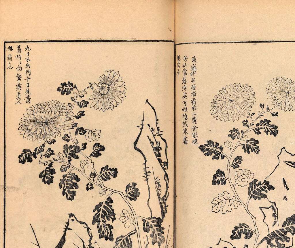 p1706550401_738type_jpeg_size_1600_119_end