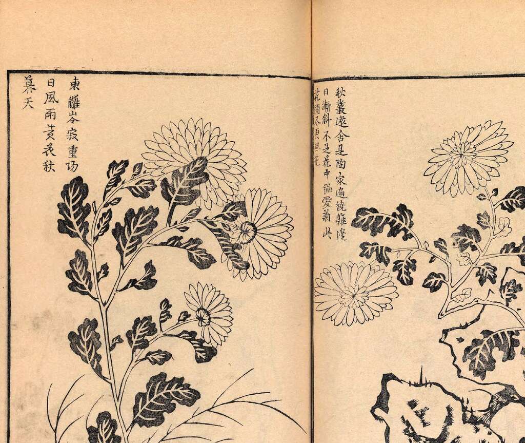 p1706550407_695type_jpeg_size_1600_119_end