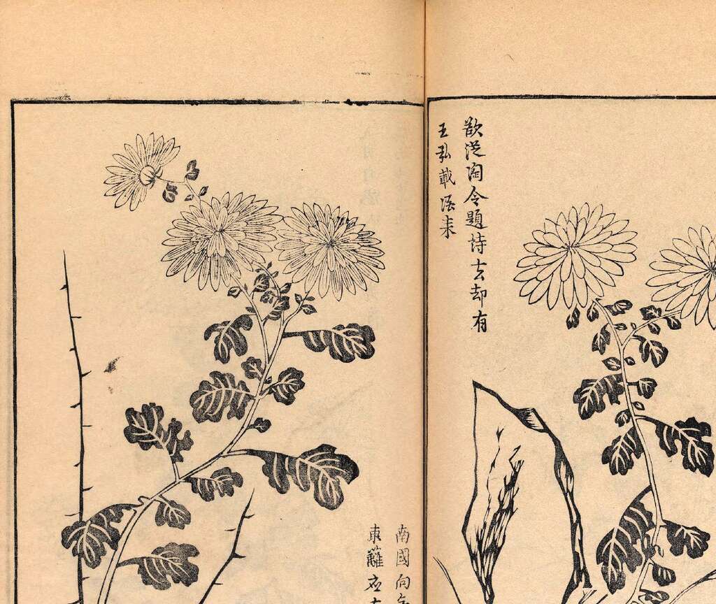 p1706550412_361type_jpeg_size_1600_119_end