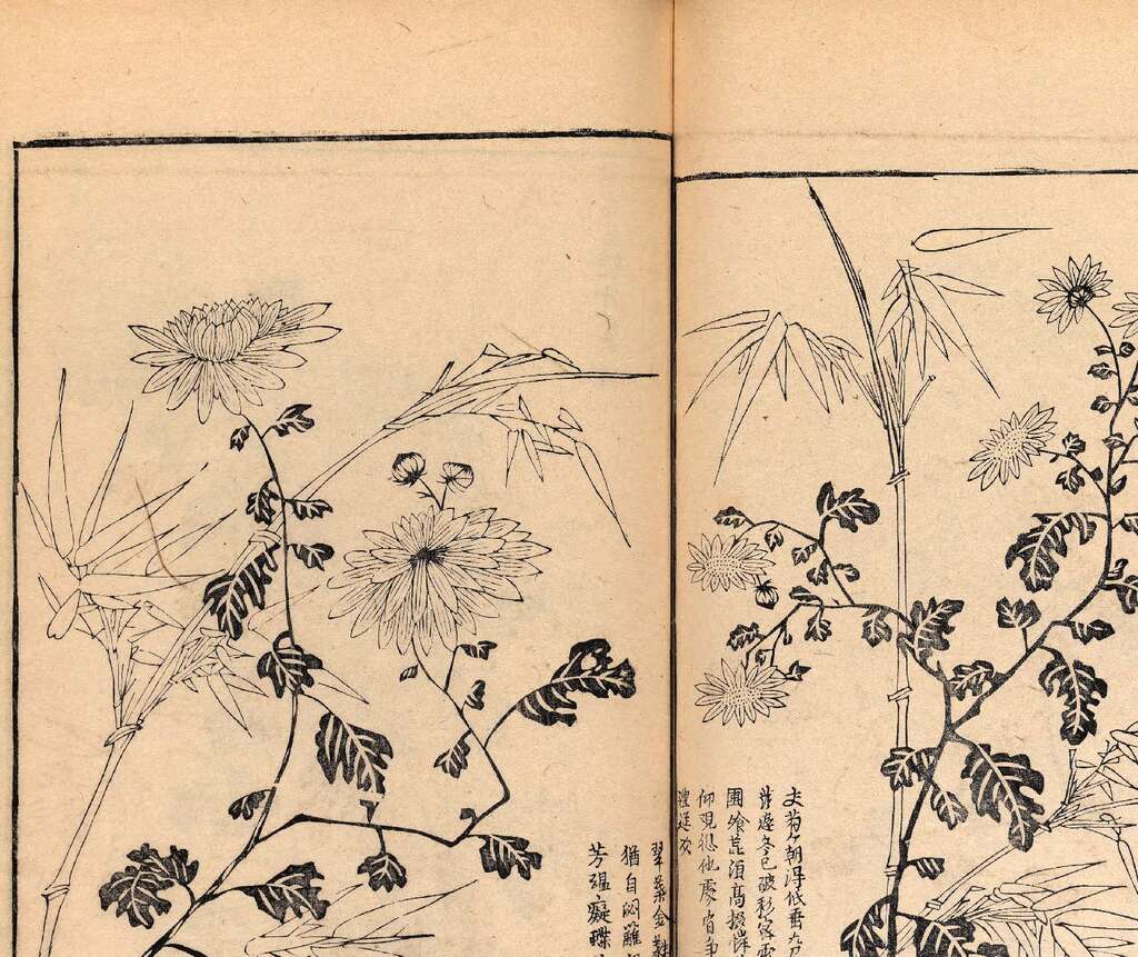 p1706550419_138type_jpeg_size_1600_119_end