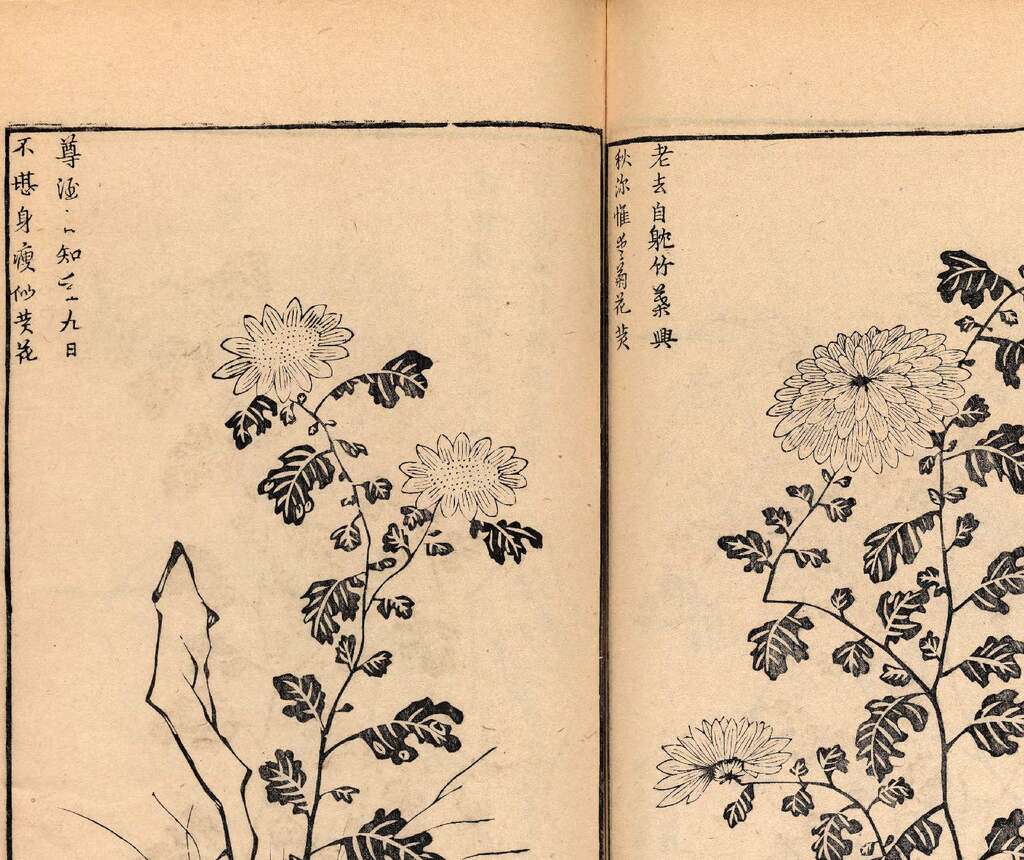 p1706550431_842type_jpeg_size_1600_119_end