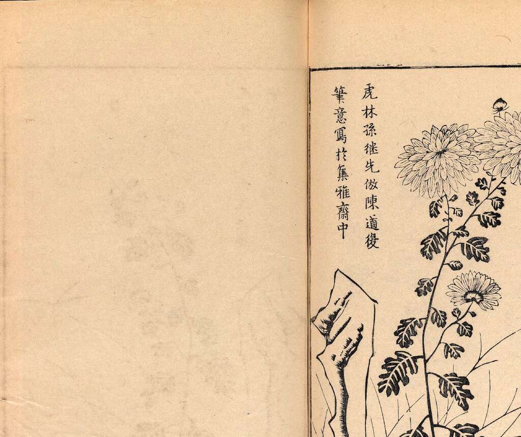 p1706550442_801type_jpeg_size_1600_119_end