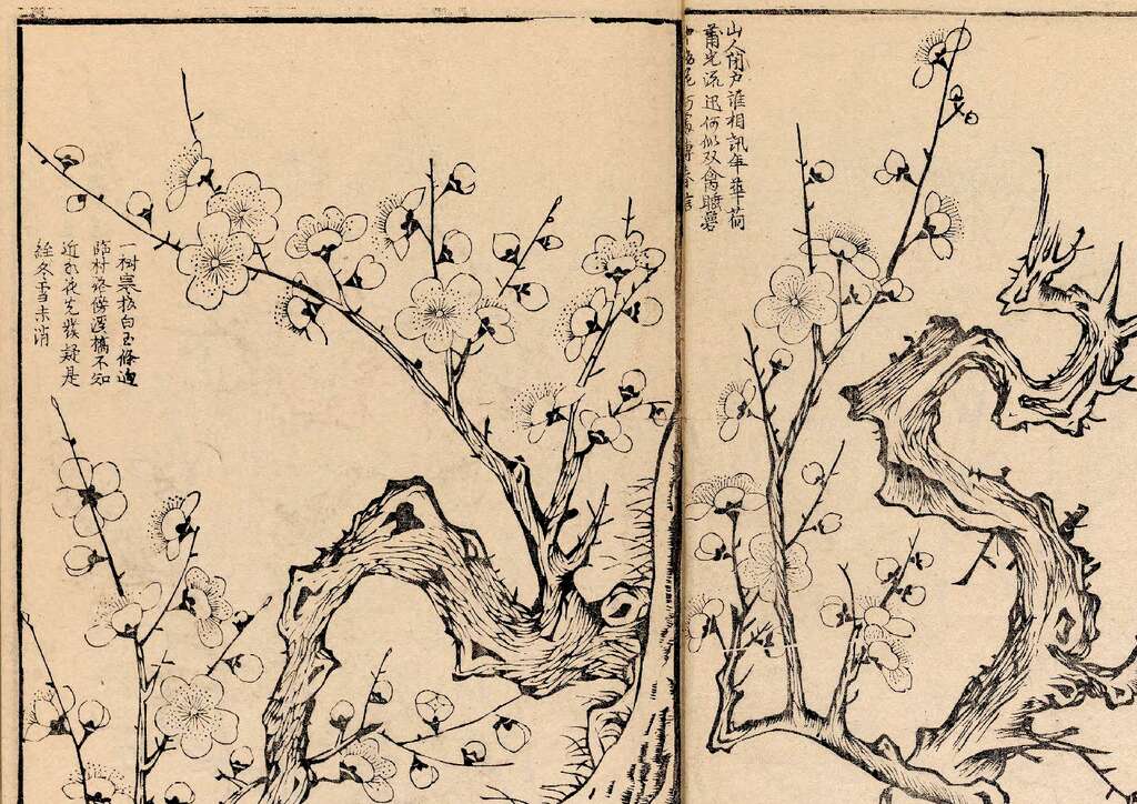 p1706550446_270type_jpeg_size_1600_141_end