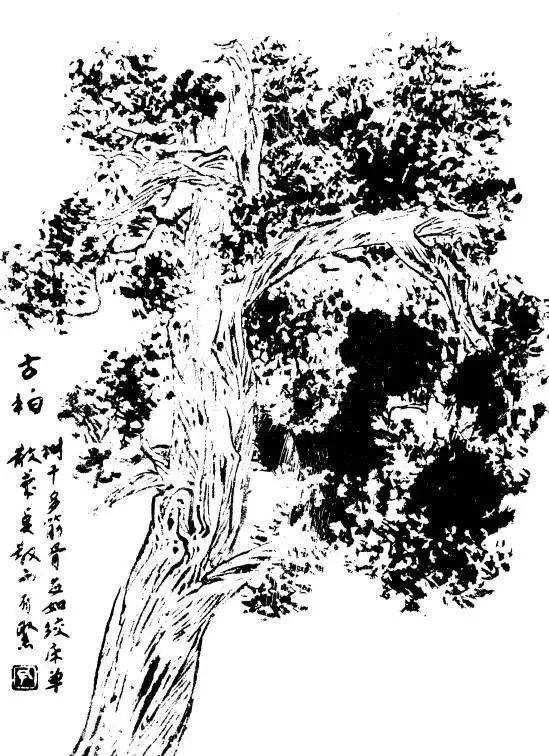 p1706573910_405type_jpeg_size_549_73_end