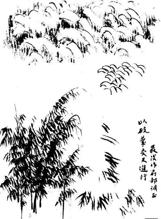 p1706573912_985type_jpeg_size_556_74_end