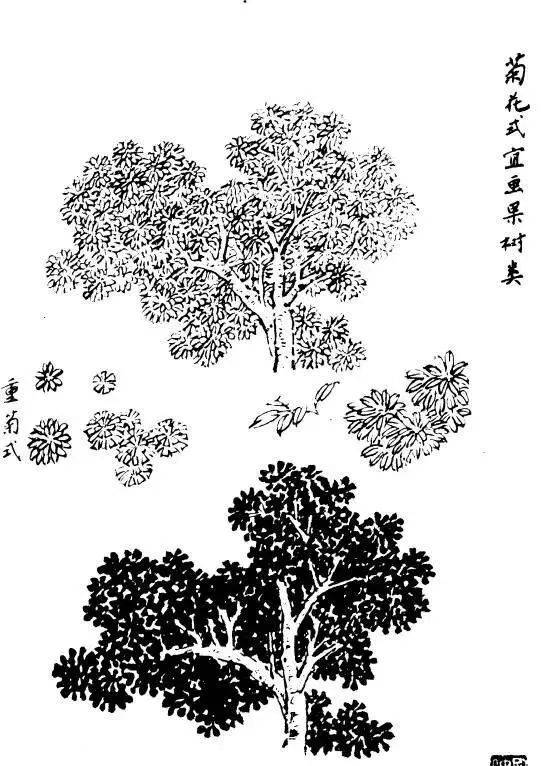 p1706573919_467type_jpeg_size_544_71_end