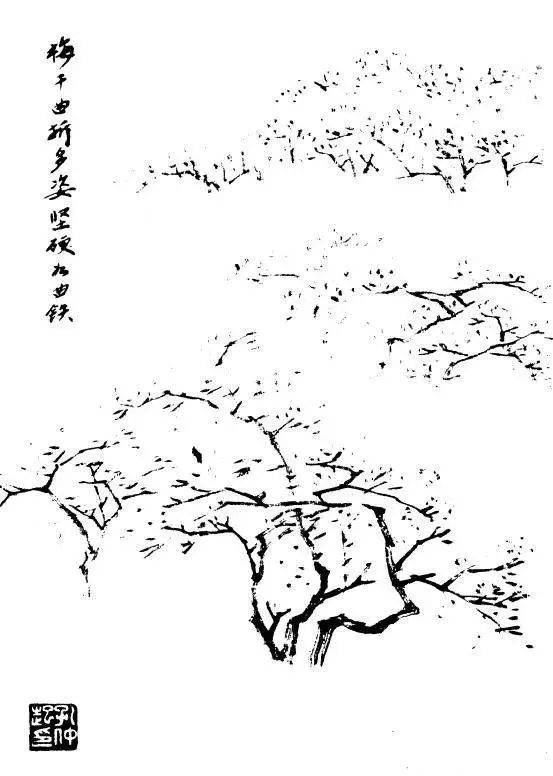 p1706573920_356type_jpeg_size_553_71_end