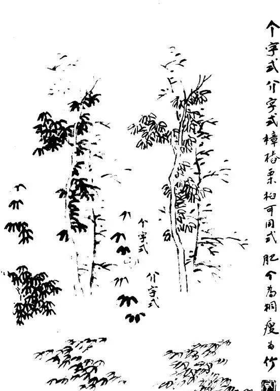 p1706573924_672type_jpeg_size_552_72_end