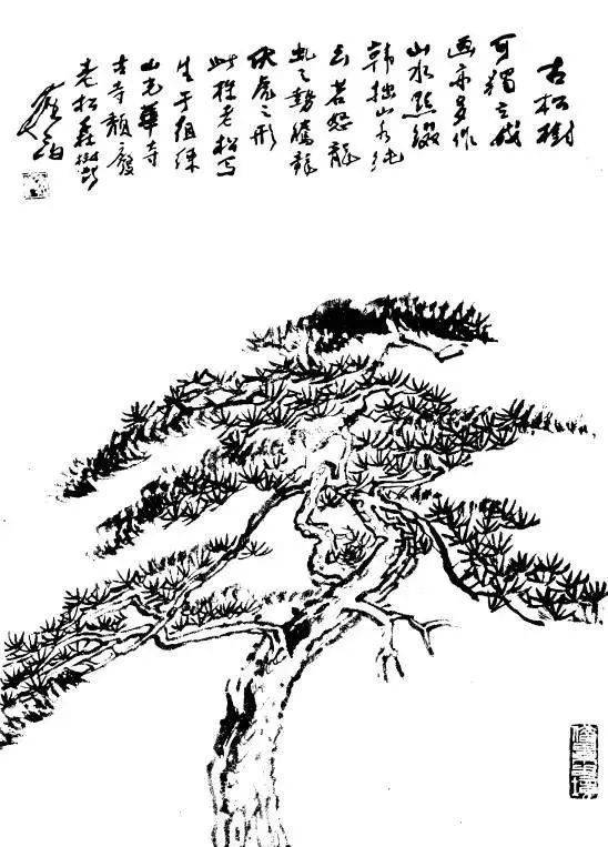 p1706573931_158type_jpeg_size_548_72_end