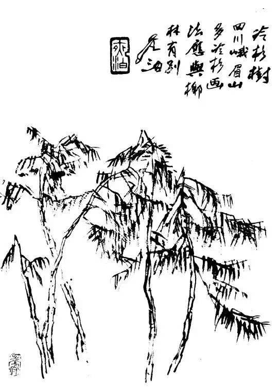 p1706573935_141type_jpeg_size_544_72_end