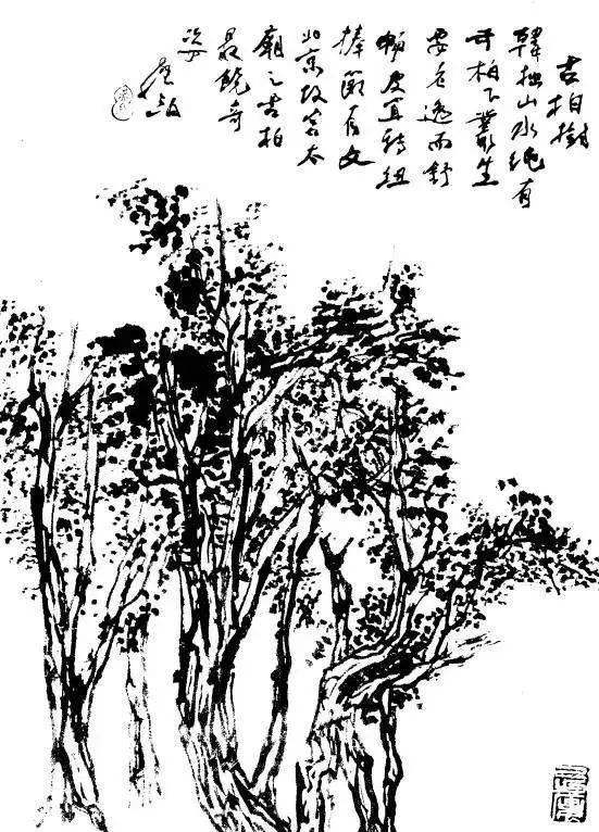 p1706573935_684type_jpeg_size_551_72_end