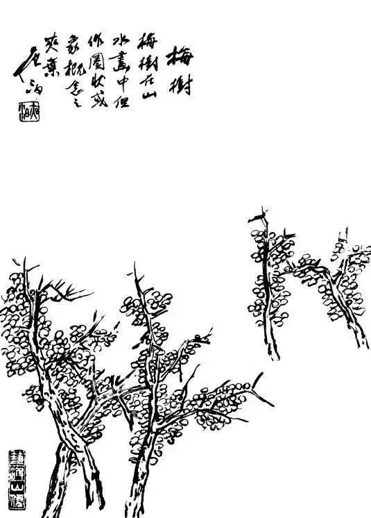 p1706573938_774type_jpeg_size_535_72_end