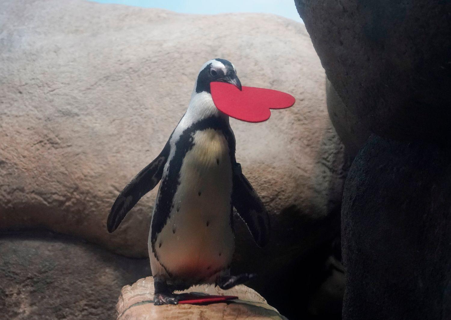 46d28605-4382-40ed-aab3-640af1b1643c