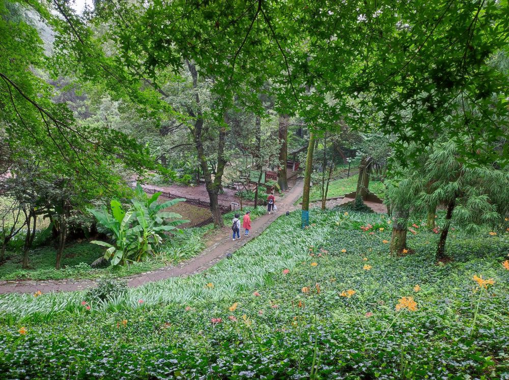 4d55e2f86703guns6sbu