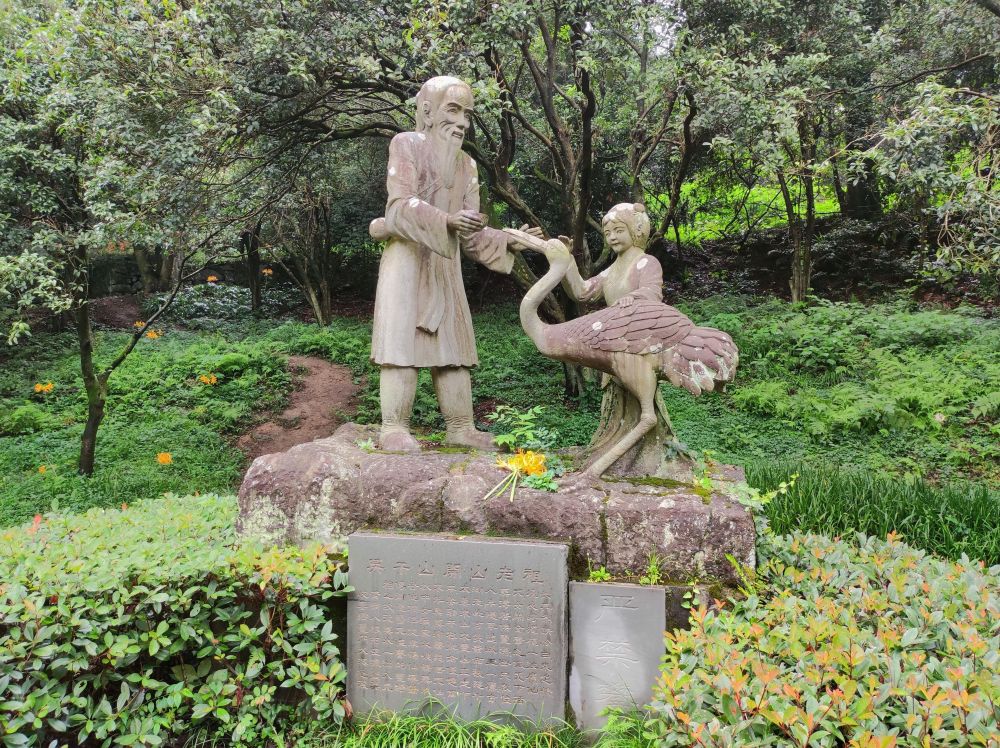 4d55e2f86836xl7fi9pe