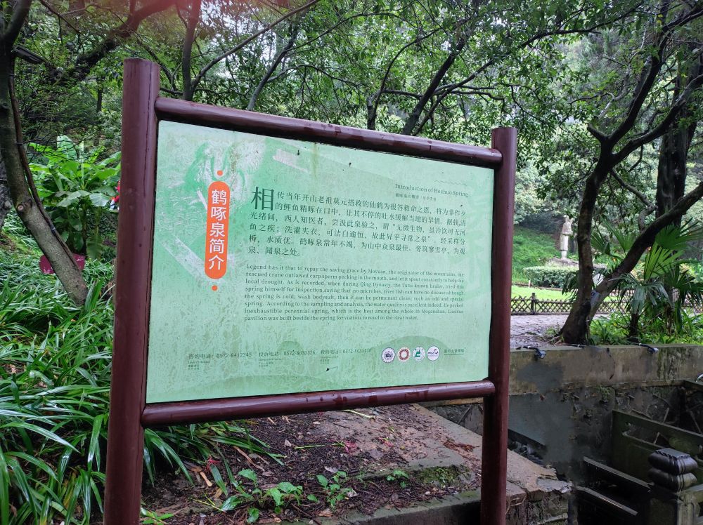 4d55e2f86980ce8r49dz