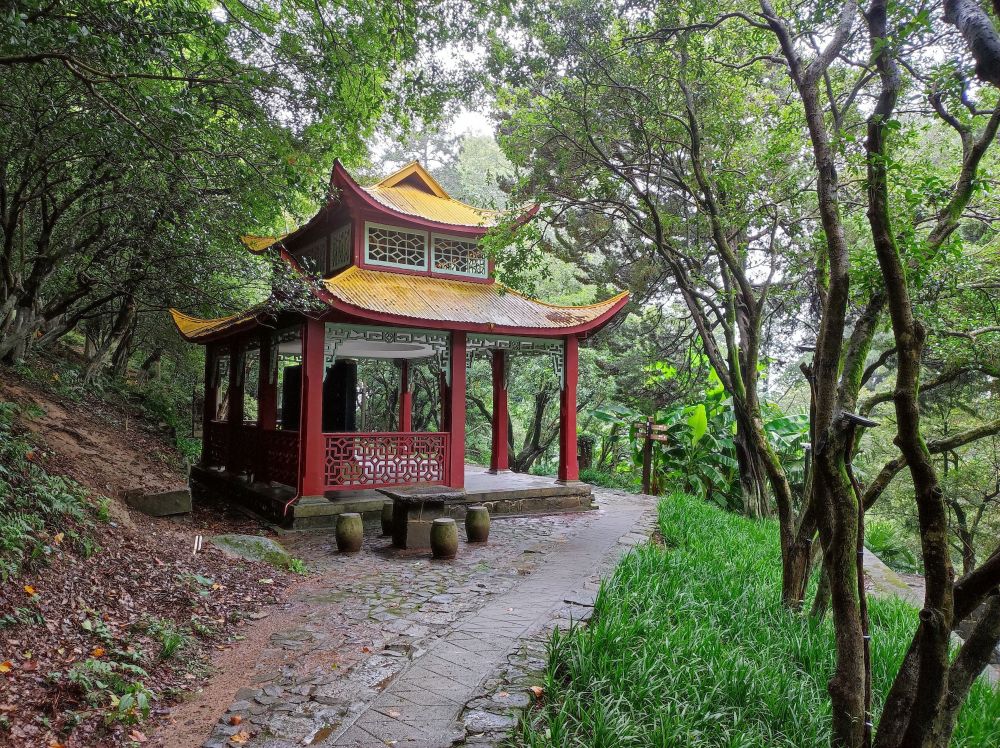 4d55e2f87096pnv5skso