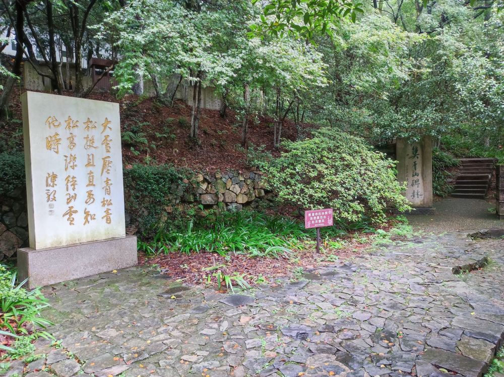 4d55e2f87216vjfvgskb