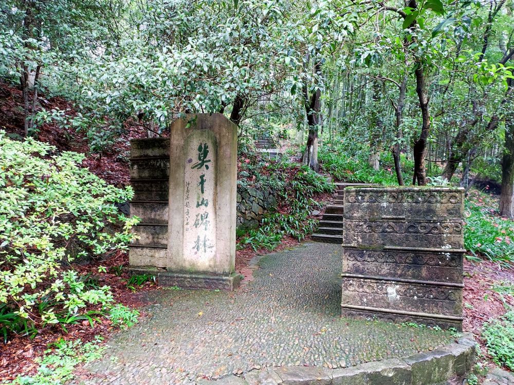 4d55e2f87250wlyk1wav