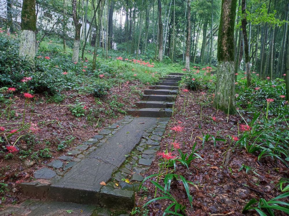 4d55e2f88884z0dvkcjl