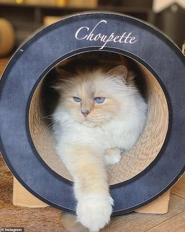 4dd0d562-fb8f-4d9b-a89b-ad310f1227b0