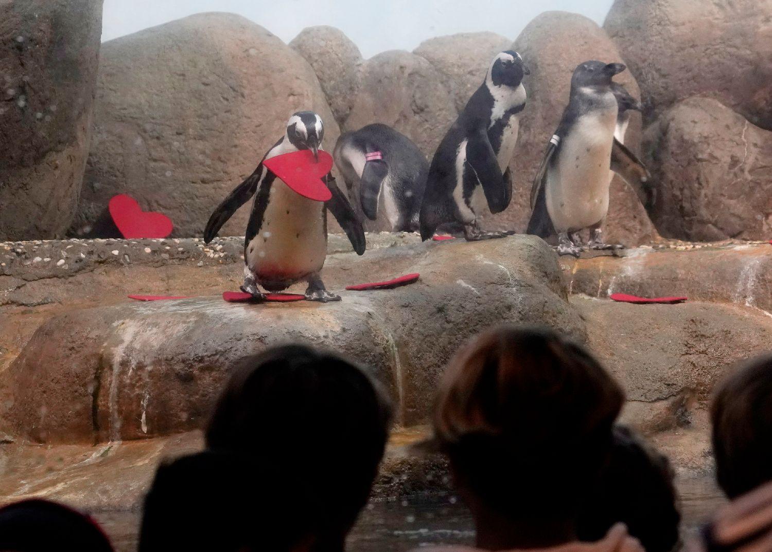 6f021a87-d1e9-4d7e-9847-4c506888508b