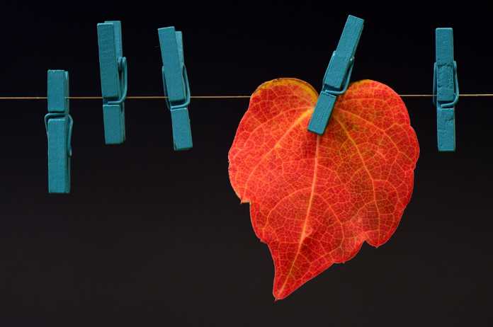 914612fa82d43ae11eab4e43dac9efe22f2548b3 01