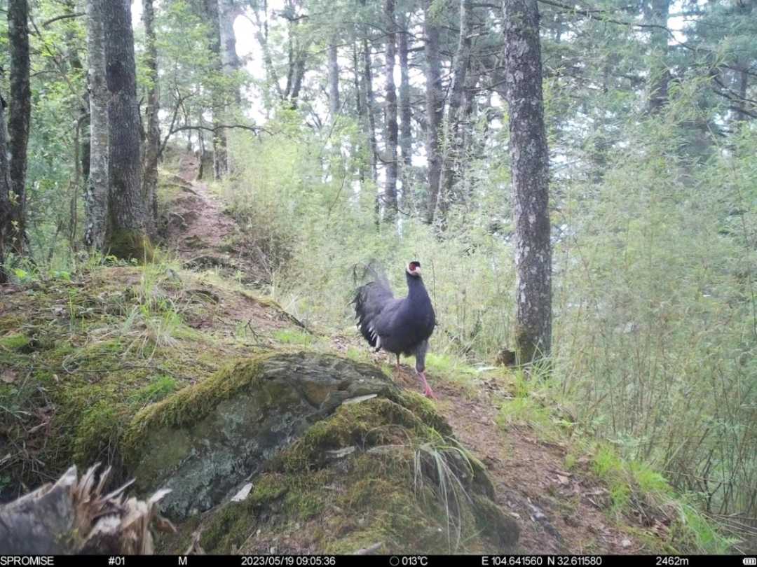 c672493d9cd080df1680b13d7b8b1be1a459394b