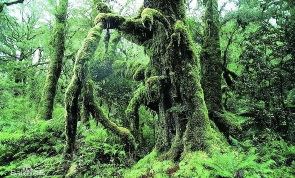 p1706728541_990type_jpeg_size_1080_165_end