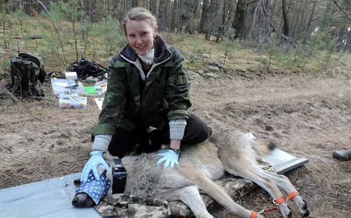 圖源：Cara M. Love.