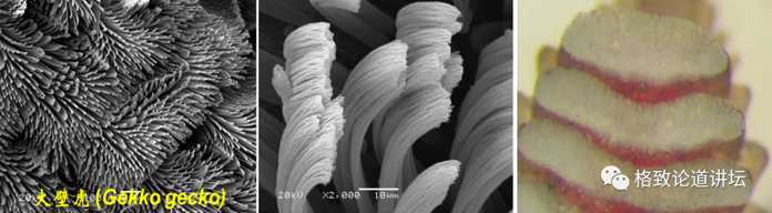 54bee8f0a3429255a9c66876adfc4d8ea599ec65