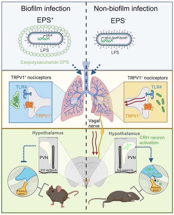 97e559de1dac945dd20f23d0b824fd7ebe7bfcef