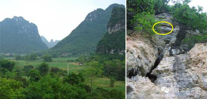 c309fb457b49d107e56ece87dd67e83a63ab56a4 這就是大壁虎的生存環境