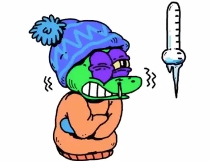 c_pic_170441690262988-1