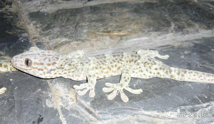 ef666dc32c3fd88f62f6ce1d655b8bdca083e3a9