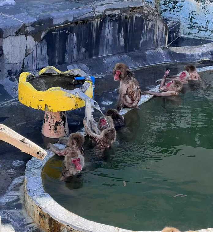 31875b5e4082fe27f66c31522e8dbe1517eb49c4