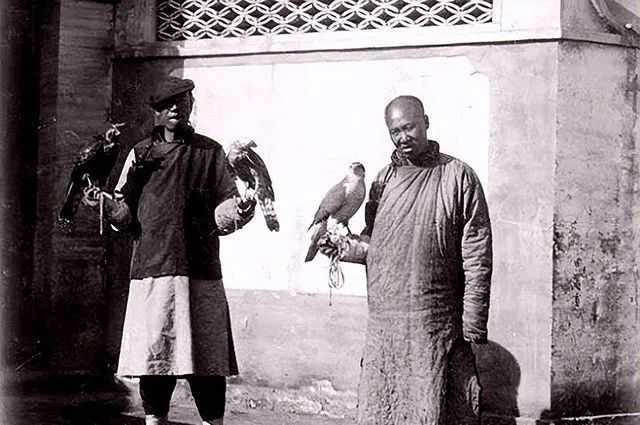 3c8a05ad3a5c4254f21b2b14f64b201912a17495 承平兩百年使八旗軍淪為一群廢物