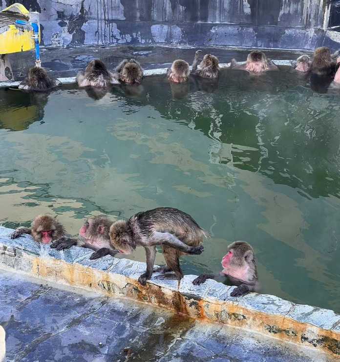 53fcc9ba651b672111621f6017d54730eec30c91