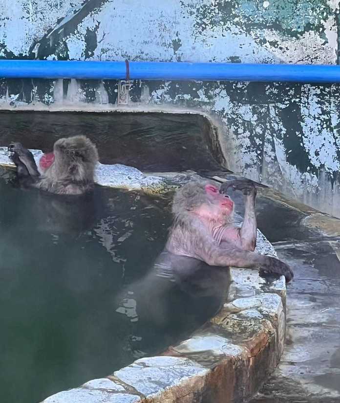 5817b6db66db66b42ef06ef49c0625007b59a8a0