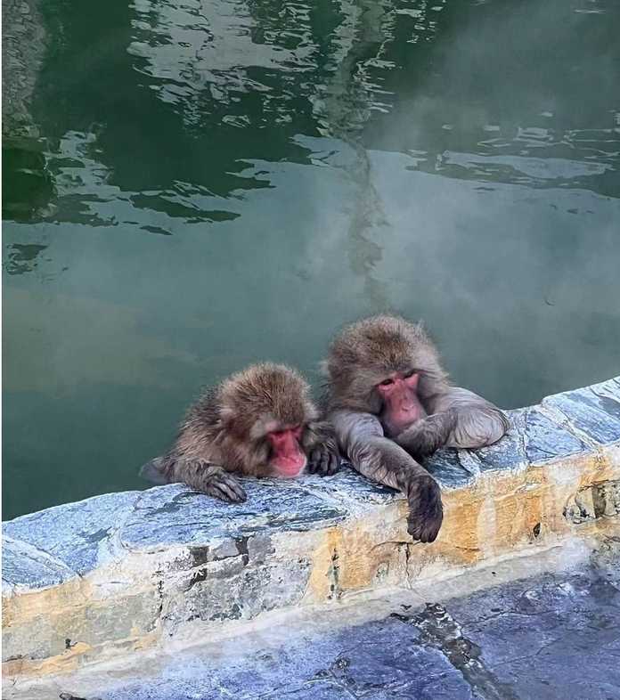 9d4faf49130b1c908a7877c74cf877552d34c5fe