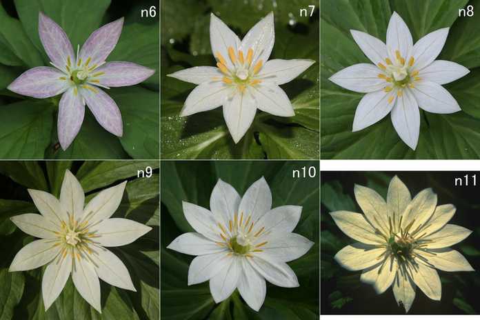 57b1a9189969d10dc64e4b736ed32e1d19caa348