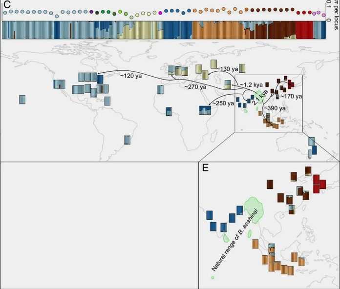 66df127e791dbc798bc831158995636fb5fdd25b