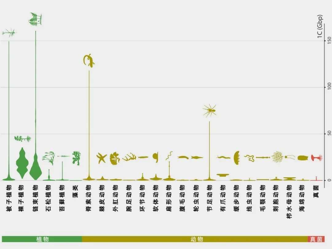 86e45c2ff196a28a8a49f474dc42ff82877c5ebb