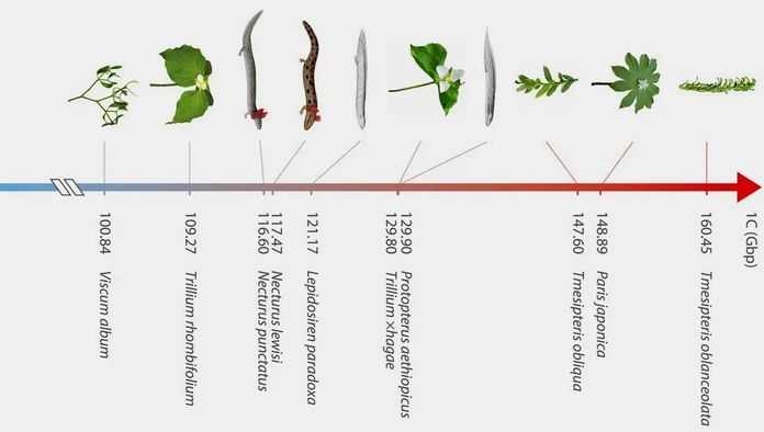 c51a8a6dcc29eb7d164dde6d7d6b6d923512a2e6