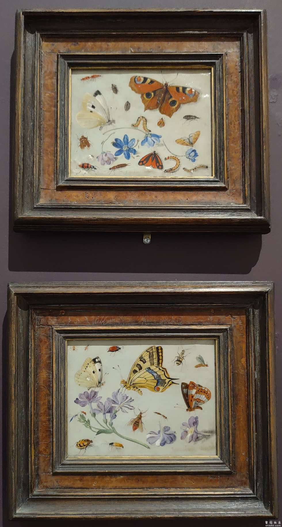 0d2bafb_type_2_size_980_54_end