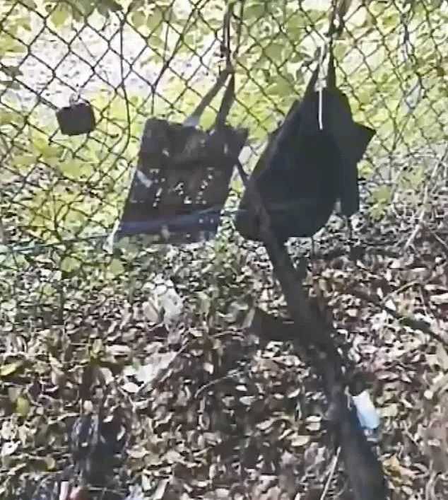 2d1ee64e5d6cf1eca7e51ec19b38ad2345b64274