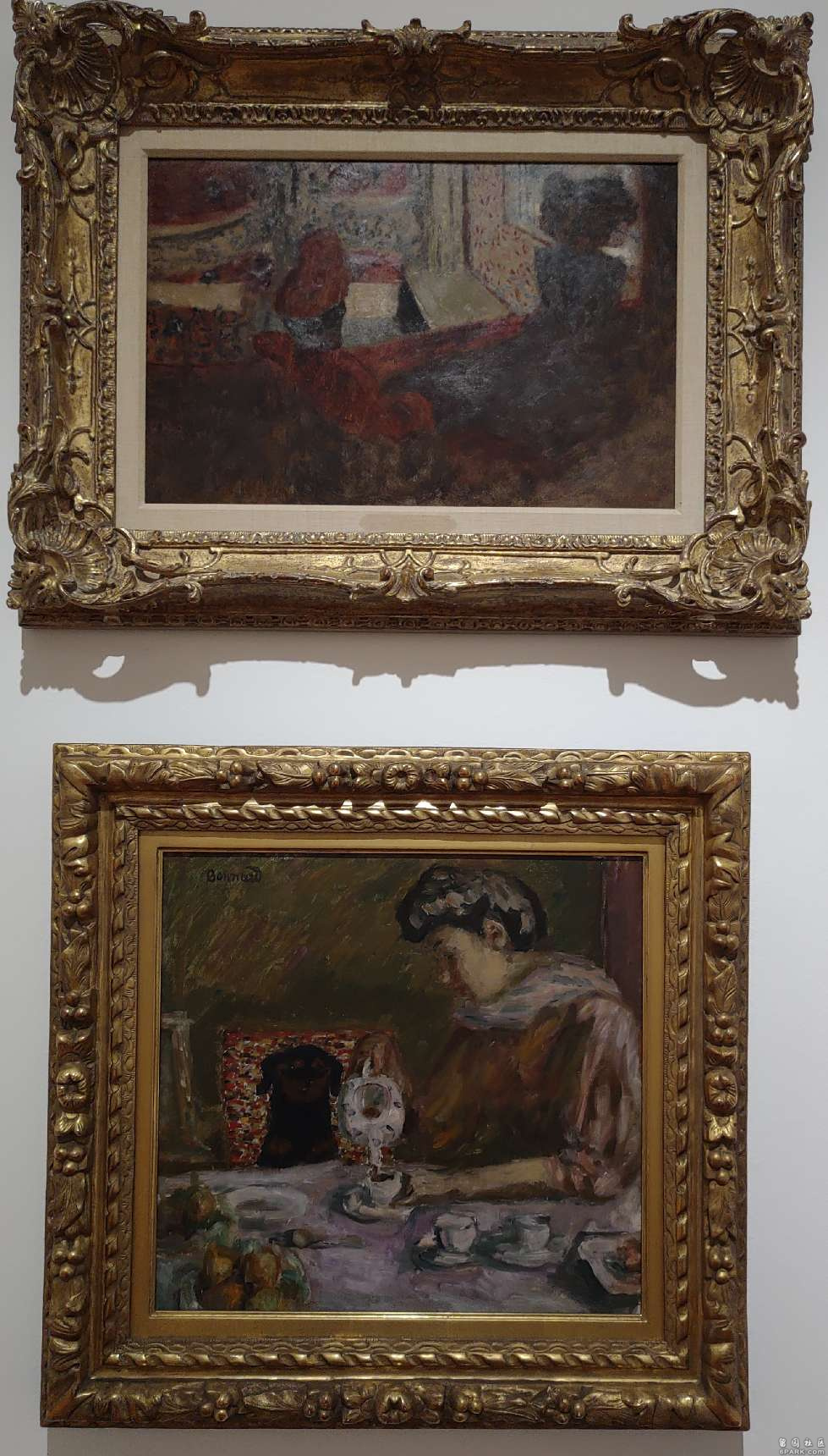 6fa803a_type_2_size_979_56_end