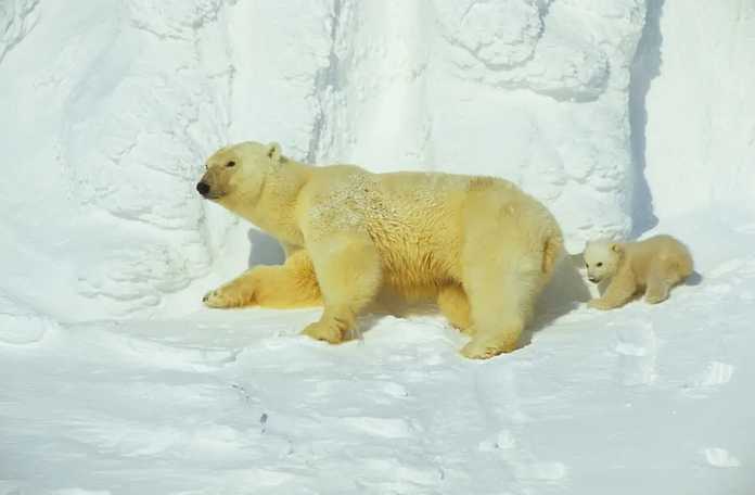 此後，相隔10年才有了第二季